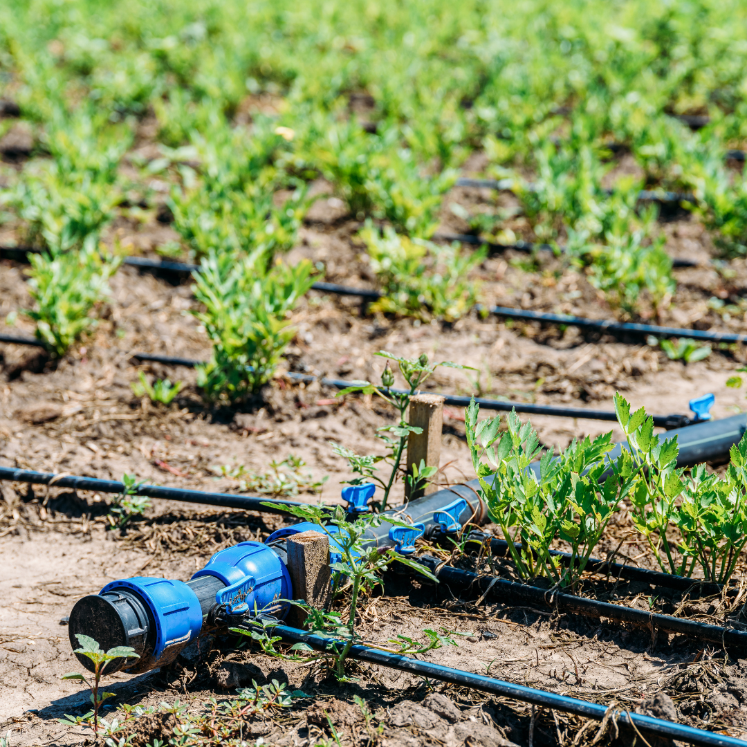 agricultural irrigation